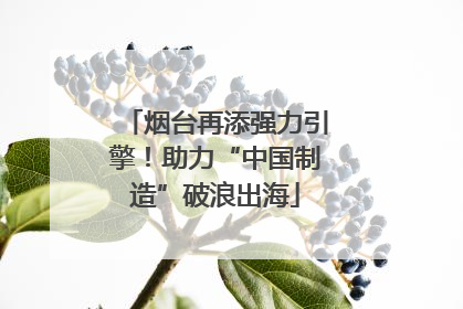 烟台再添强力引擎！助力“中国制造”破浪出海