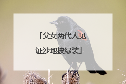 父女两代人见证沙地披绿装
