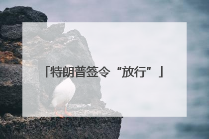 特朗普签令“放行”