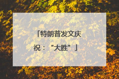 特朗普发文庆祝：“大胜”
