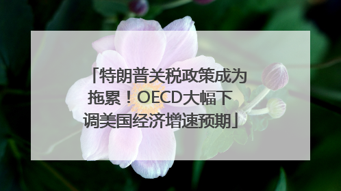 特朗普关税政策成为拖累！OECD大幅下调美国经济增速预期