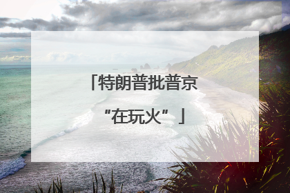 特朗普批普京“在玩火”