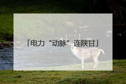 电力“动脉”连陕甘