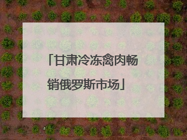 甘肃冷冻禽肉畅销俄罗斯市场