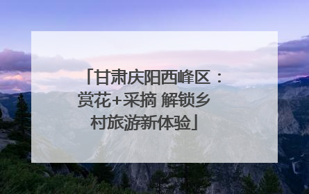 甘肃庆阳西峰区：赏花+采摘 解锁乡村旅游新体验