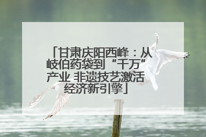 甘肃庆阳西峰：从岐伯药袋到“千万”产业 非遗技艺激活经济新引擎