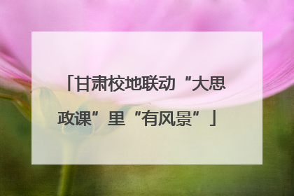 甘肃校地联动“大思政课”里“有风景”