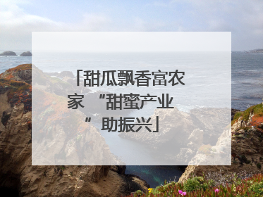 甜瓜飘香富农家 “甜蜜产业”助振兴