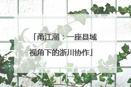 甬江潮：一座县域视角下的浙川协作