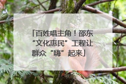百姓唱主角！邵东“文化惠民”工程让群众“嗨”起来