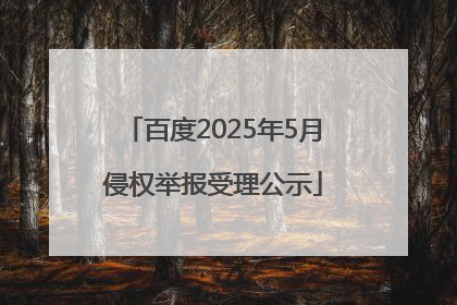 百度2025年5月侵权举报受理公示