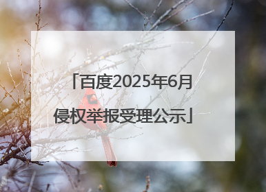 百度2025年6月侵权举报受理公示