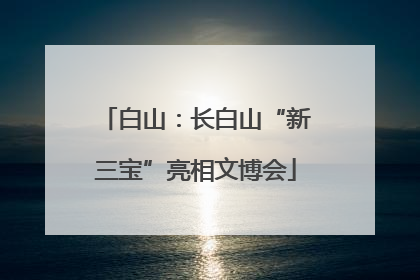 白山：长白山“新三宝”亮相文博会