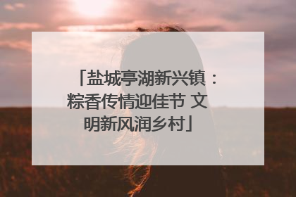 盐城亭湖新兴镇：粽香传情迎佳节 文明新风润乡村
