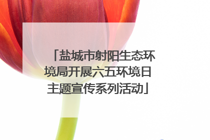 盐城市射阳生态环境局开展六五环境日主题宣传系列活动