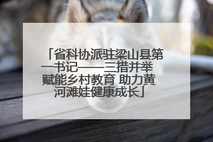 省科协派驻梁山县第一书记——三措并举 赋能乡村教育 助力黄河滩娃健康成长