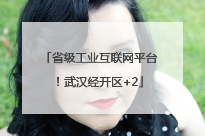 省级工业互联网平台！武汉经开区+2