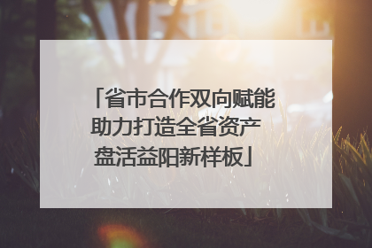 省市合作双向赋能 助力打造全省资产盘活益阳新样板