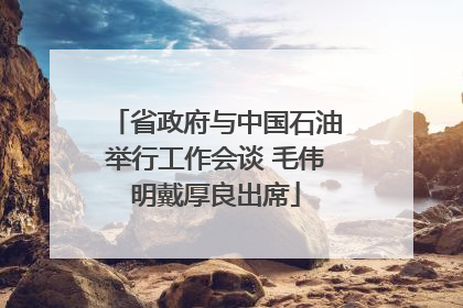 省政府与中国石油举行工作会谈 毛伟明戴厚良出席