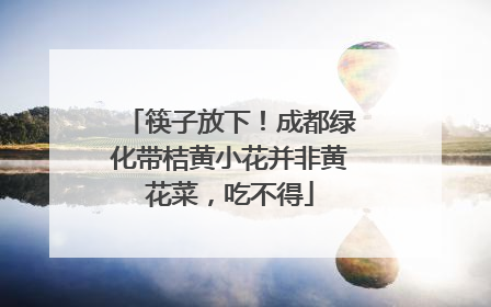 筷子放下！成都绿化带桔黄小花并非黄花菜，吃不得