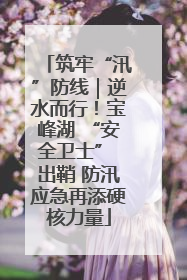 筑牢“汛”防线｜逆水而行！宝峰湖 “安全卫士” 出鞘 防汛应急再添硬核力量