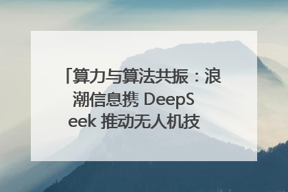 算力与算法共振：浪潮信息携 DeepSeek 推动无人机技术在舟山落地