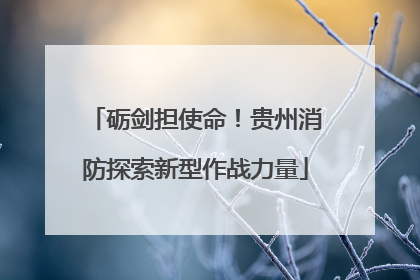砺剑担使命！贵州消防探索新型作战力量