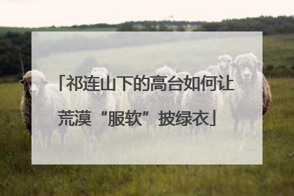 祁连山下的高台如何让荒漠“服软”披绿衣