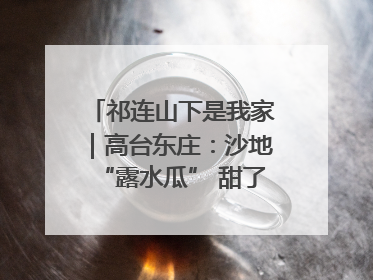祁连山下是我家｜高台东庄：沙地“露水瓜” 甜了舌尖 富了农家