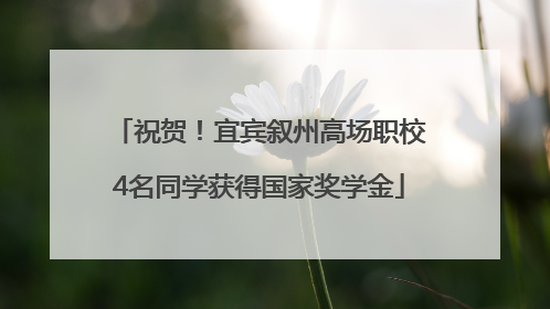 祝贺！宜宾叙州高场职校4名同学获得国家奖学金