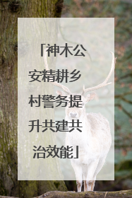 神木公安精耕乡村警务提升共建共治效能