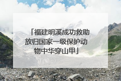 福建明溪成功救助放归国家一级保护动物中华穿山甲