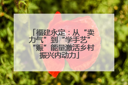 福建永定：从“卖力气”到“学手艺”“赈”能量激活乡村振兴内动力
