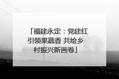 福建永定：党建红引领果蔬香 共绘乡村振兴新画卷