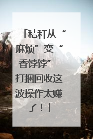 秸秆从“麻烦”变“香饽饽” 打捆回收这波操作太赚了！