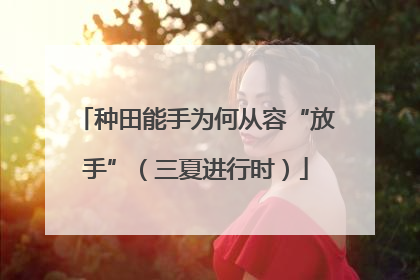种田能手为何从容“放手”（三夏进行时）