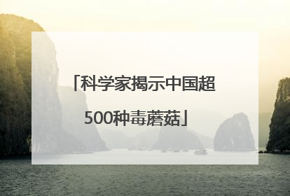 科学家揭示中国超500种毒蘑菇