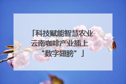 科技赋能智慧农业 云南咖啡产业插上“数字翅膀”