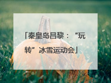 秦皇岛昌黎：“玩转”冰雪运动会