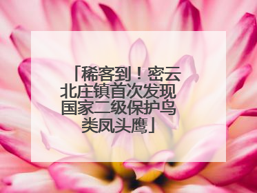 稀客到！密云北庄镇首次发现国家二级保护鸟类凤头鹰