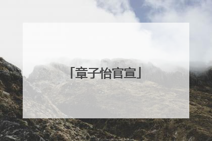 章子怡官宣