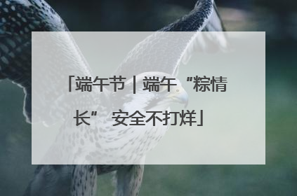 端午节｜端午“粽情长” 安全不打烊
