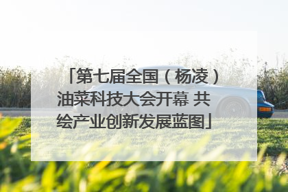 第七届全国（杨凌）油菜科技大会开幕 共绘产业创新发展蓝图