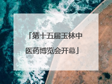 第十五届玉林中医药博览会开幕