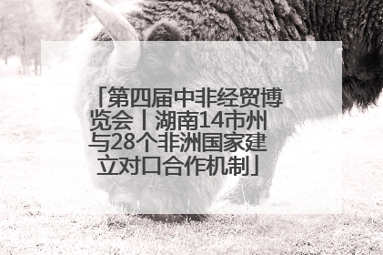 第四届中非经贸博览会丨湖南14市州与28个非洲国家建立对口合作机制