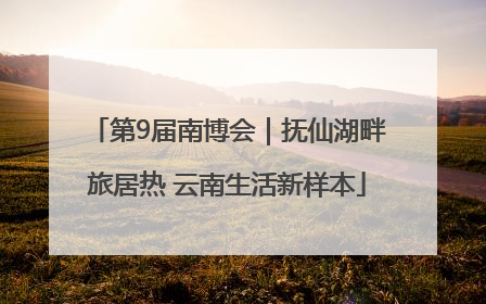 第9届南博会｜抚仙湖畔旅居热 云南生活新样本