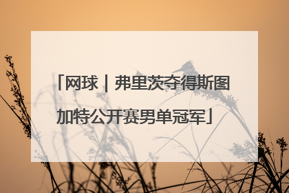 网球｜弗里茨夺得斯图加特公开赛男单冠军