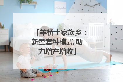 羊桥土家族乡：新型套种模式 助力增产增收