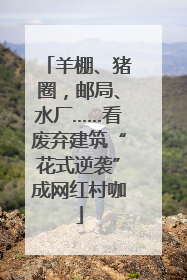 羊棚、猪圈，邮局、水厂……看废弃建筑“花式逆袭”成网红村咖