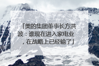 美的集团董事长方洪波：谁现在进入家电业，在战略上已经输了